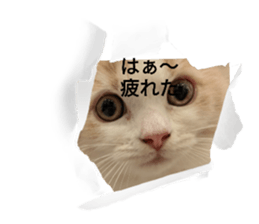 694896969