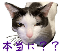 694897816