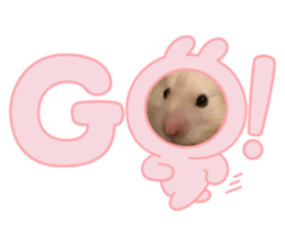 694898133