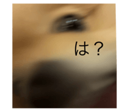 694914798
