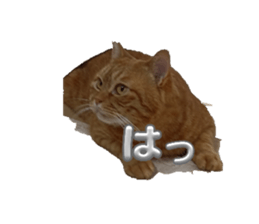 694923261