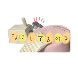 694929433