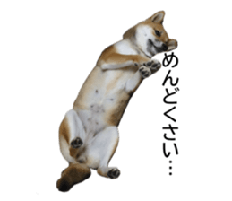 694930704