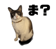 694938580