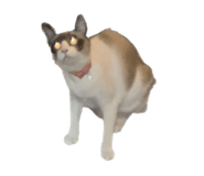 694938583