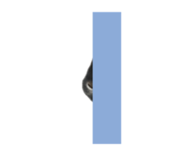 694949004