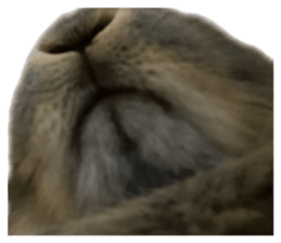 694949021