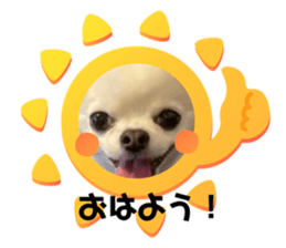 694957495