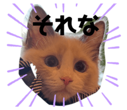 694970934