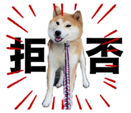 694982560