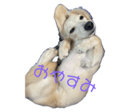 694989870