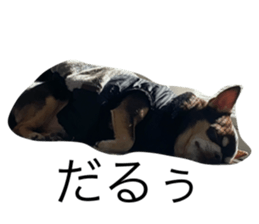 694991670