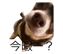 694991675
