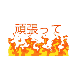 695019905