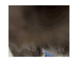 695040845