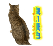 695062986