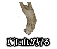 695062991