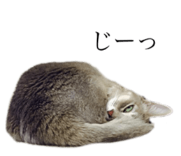 695110735