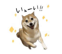 695113529