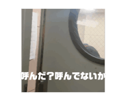695127527