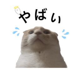 695128715