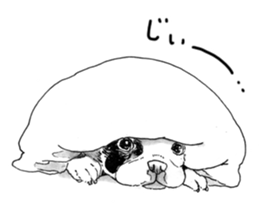 695136233