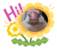 695147755