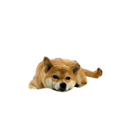 695172919