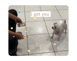695173419