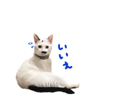 695196194