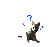 695196199