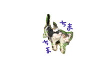 695196200