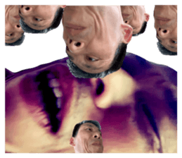 695199526