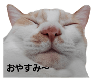 695202283