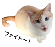 695202284