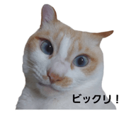 695202287