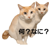 695202291