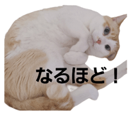 695202292