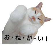 695202298