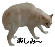 695202299