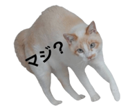695202300