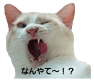 695202301