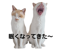 695202302