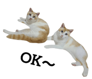 695202304