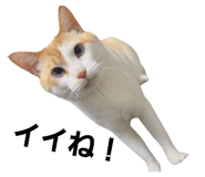 695202307