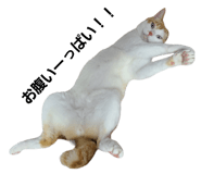 695202309