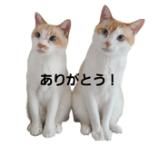 695202310