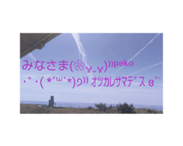695226213