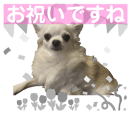 695231358