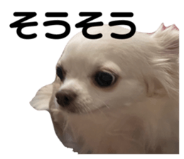 695231377